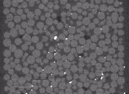 1-Jul-03-2025-10-26-14-8266-AM