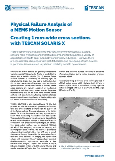 1-mm-MEMS-cross-sectioning