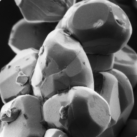 SEM image of LiCoO2 for lithium-ion cathode
