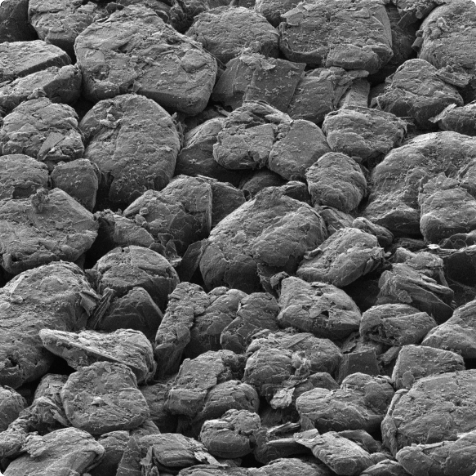SEM image of graphite anode surface