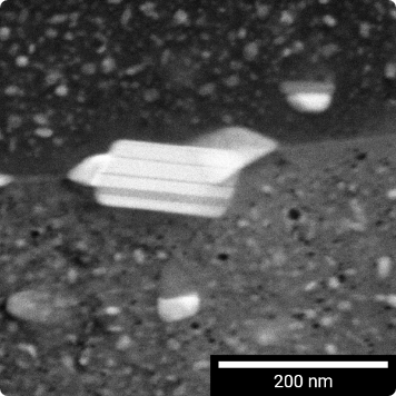 High Angle Dark Field Field STEM image captured by a R-STEM detector at 30 keV in FIB-SEM from TEM lamella prepared by FIB-SEM from Al alloy containing Zn and Mg