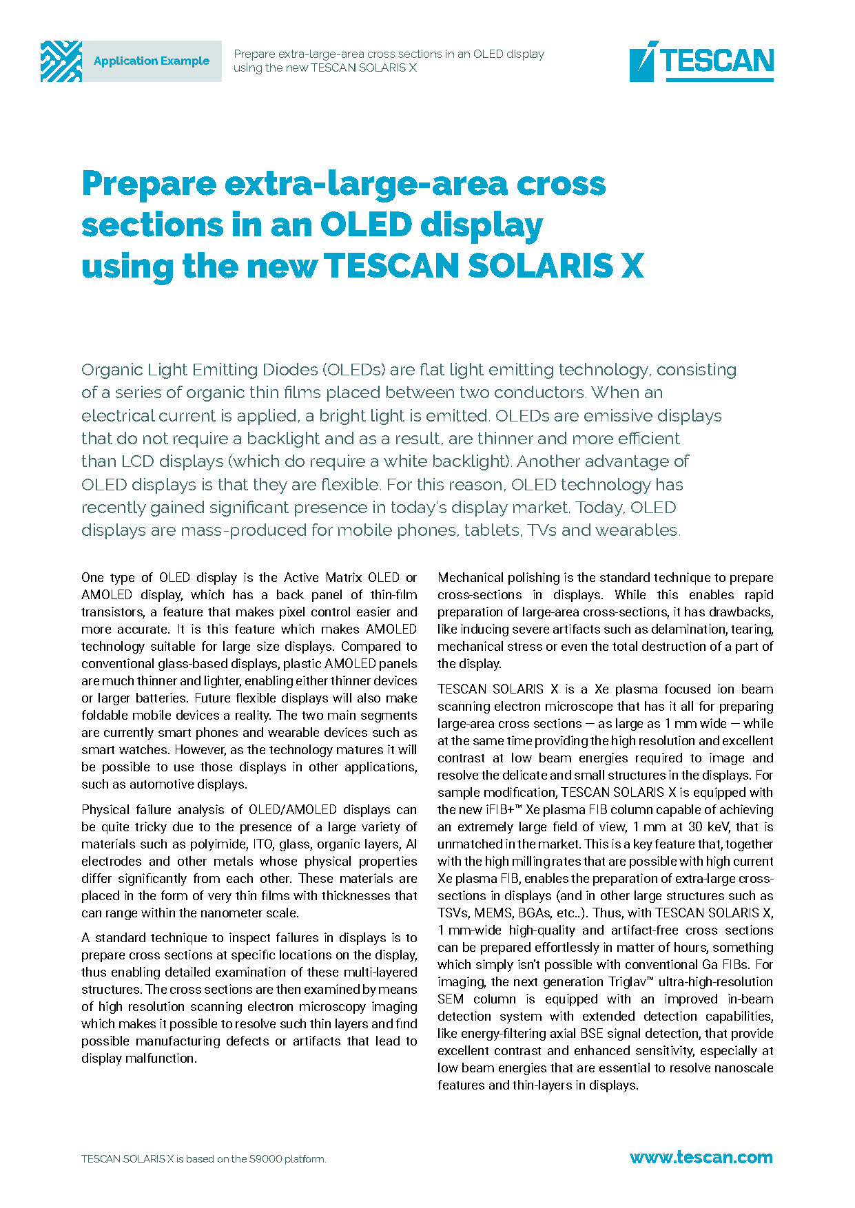 Extra-large-area-cross-sections-in-an-OLED-display_Page_1