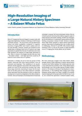 High_Resolution_Imaging_of_Museum_Specimen_-_Baleen_Whale_Fetus_page-0001