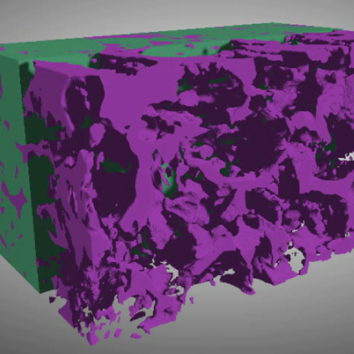 Graphite anode porosity visualization from 3D FIB-SEM tomography data