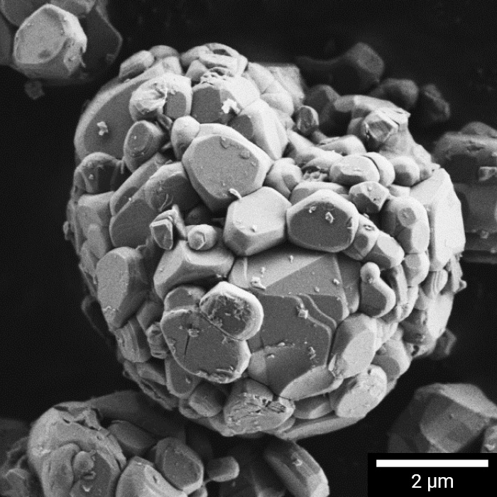 High-res SEM of LiCoO2 for lithium-ion battery cathodes