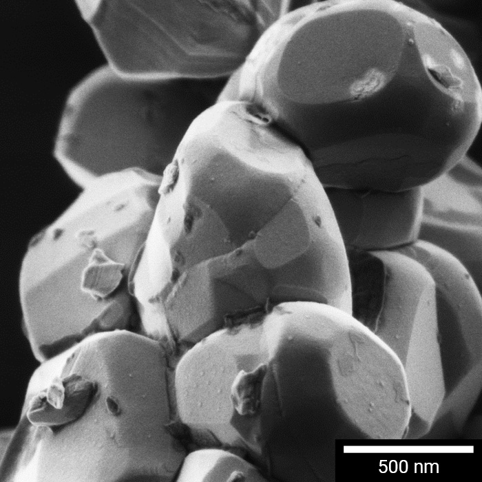 SEM detail of LiCoO2 particles for battery cathodes