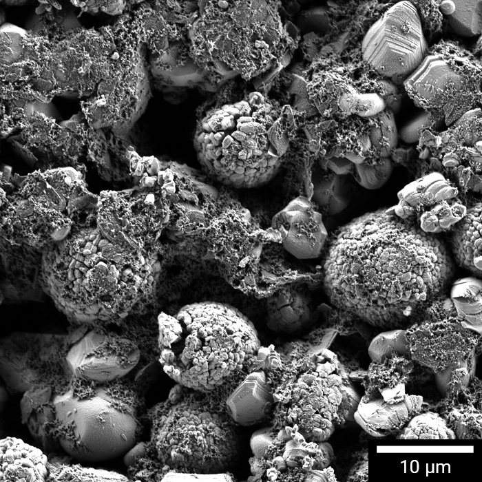 SEM of lithium-ion cathode showing particles and binder