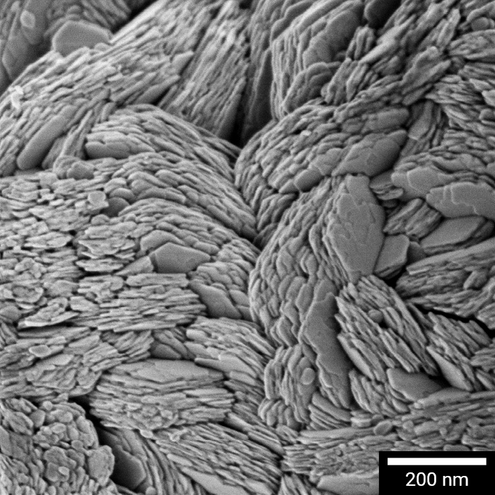 SEM of Li-rich Ni particle surface for battery electrodes