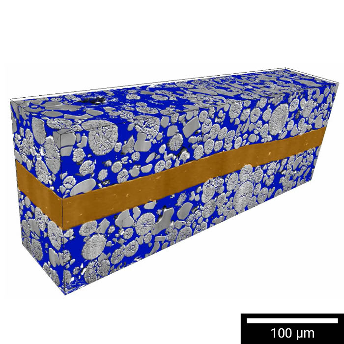 Large-scale 3D FIB-SEM tomography of NMC particle distribution