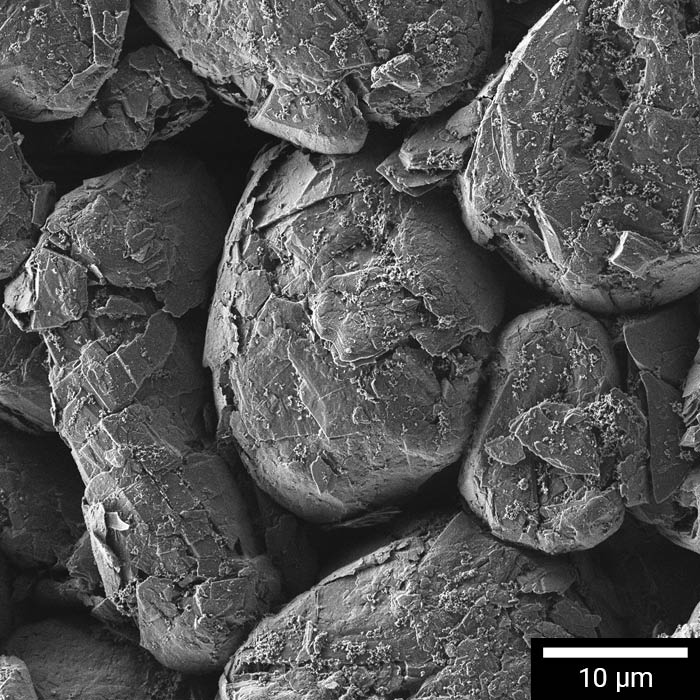 SEM evaluation of graphite anode surface