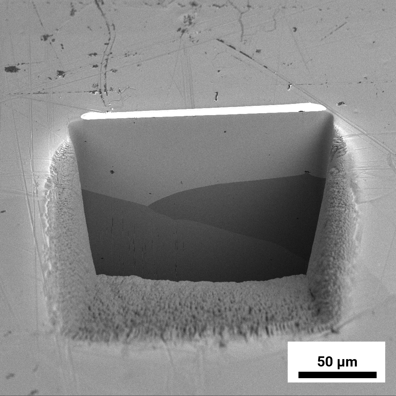 AMBER X 2 for Automated Sample
