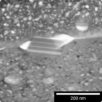 Dark Field Field STEM image captured by a R-STEM detector at 30 keV in FIB-SEM from TEM lamella prepared by FIB-SEM from Al alloy containing Zn and Mg
