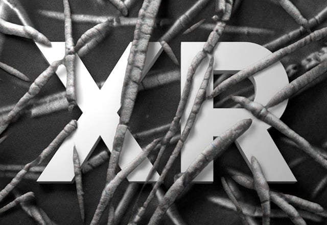 TESCAN Ultra-High-Resolution SEM