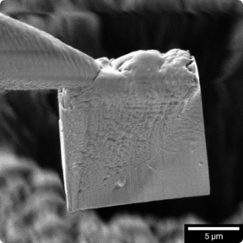 Cryo lift out of the TEM specimen.