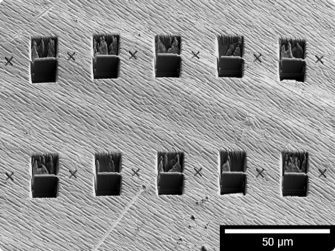 10 pieces of TEM lamellas prepared from Cu sample using TESCANs Autoslicer.