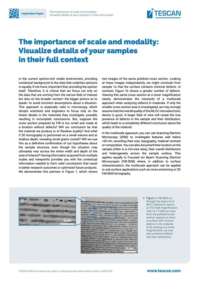 TESCAN-INSP-PAPER-The importance of scale and modality