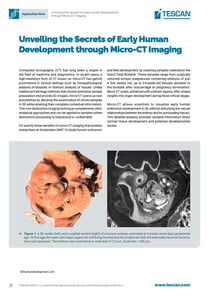 Unveiling-the-Secrets-of-Early-Human-Development-through-Micro-CT-Imaging