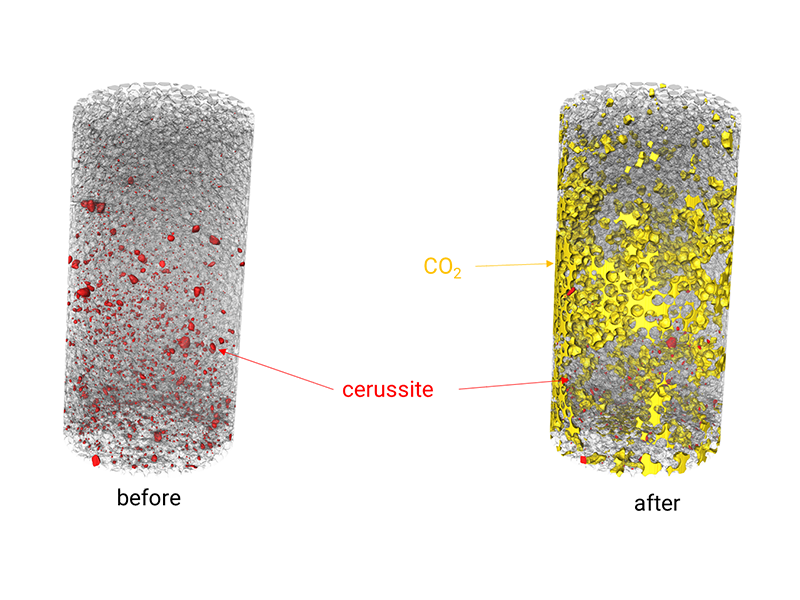 Time-Resolved Spectral Micro-CT