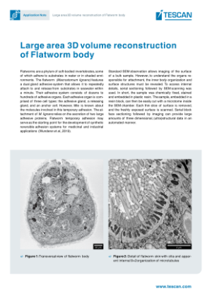 thumb_large_area_3D_volume_recosntruction
