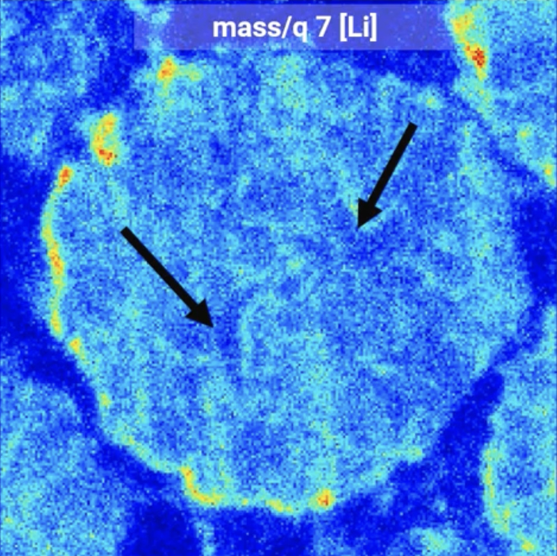 Webinar: Exploring the behavior of Li-ion batteries using FIB-SEM integrated with Raman and TOF-SIMS